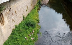 Děčín2024-021