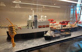 C3_model SOLITAIRE G. Glücks_D_zlatá medaile